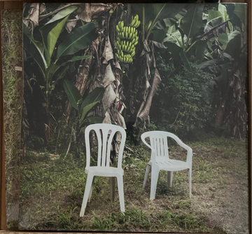 Bad Bunny - Debí Tirar Más Fotos (2xLP, Album, Blu)