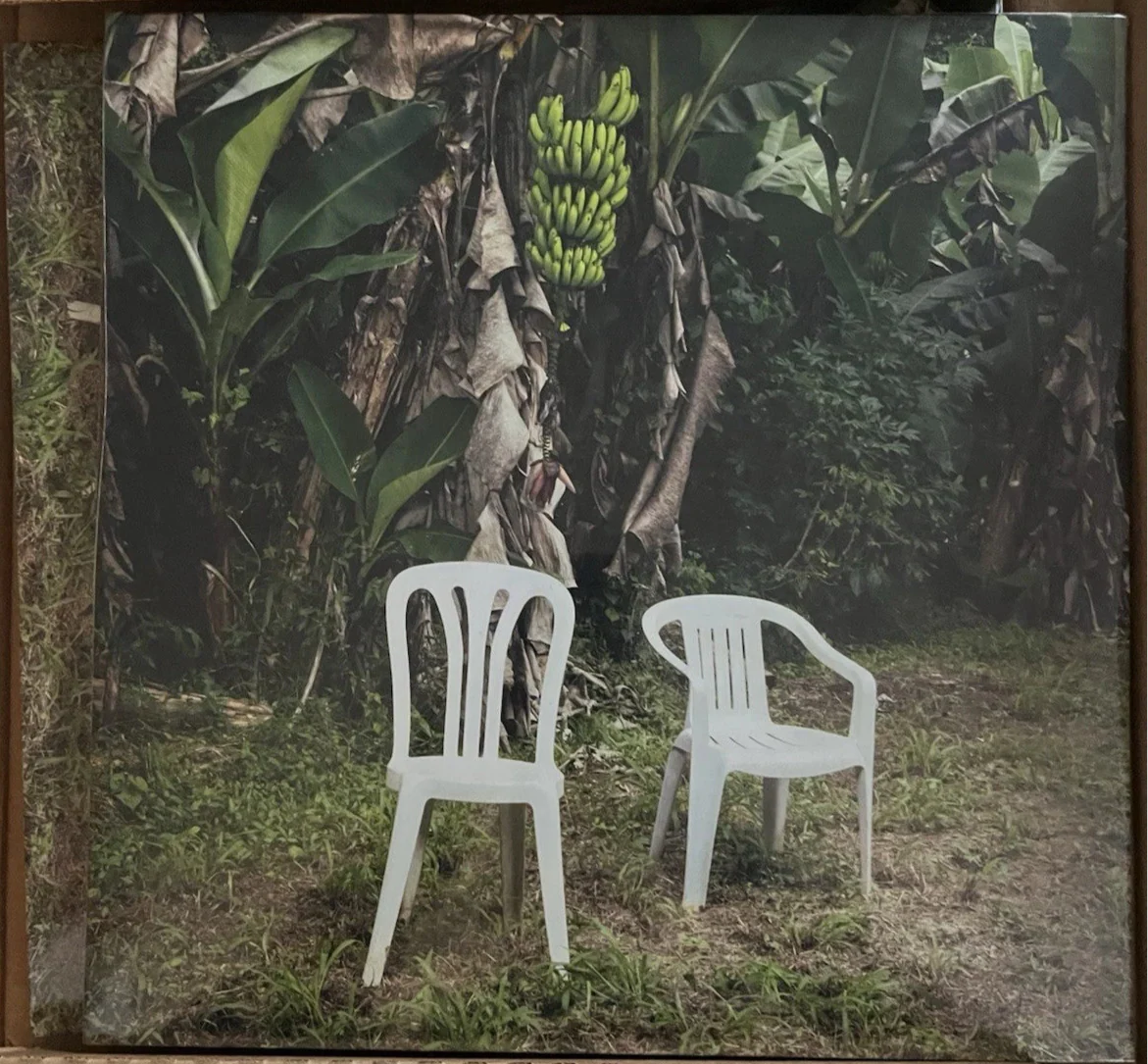 Bad Bunny - Debí Tirar Más Fotos (2xLP, Album, Blu)